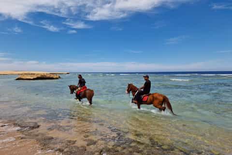 Marsa Alam: Horseback Riding Tour on the Beach