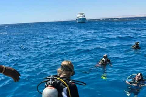 Marsa Alam: Diving & Snorkeling Trip with Transfers & Snacks