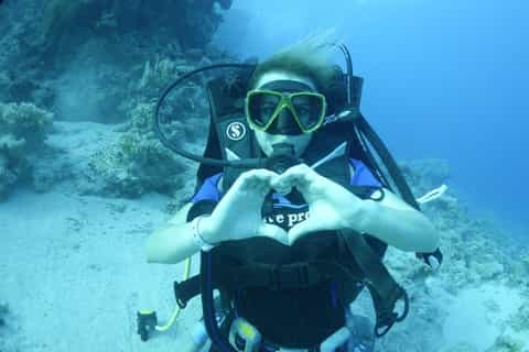 Sharm: Tiran Island Snorkel & Diving Trip + Transfer & Lunch