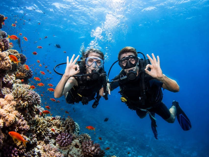 El Gouna: Scuba Diving Boat with Snorkel & Lunch & Transfers