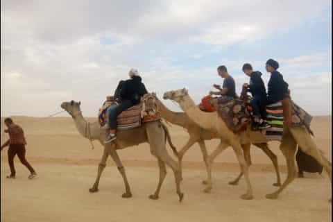 Fayoum Adventure: Magic Lake, Waterfalls, and Desert Safari