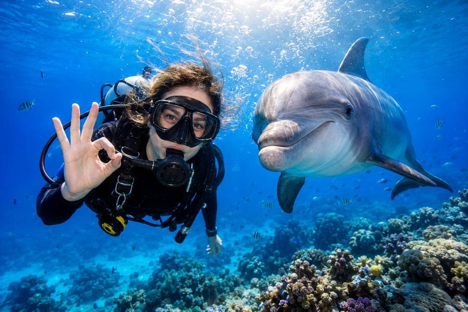 Hurghada: Full-Day Boat Trip with 2 Scuba Dives and Lunch