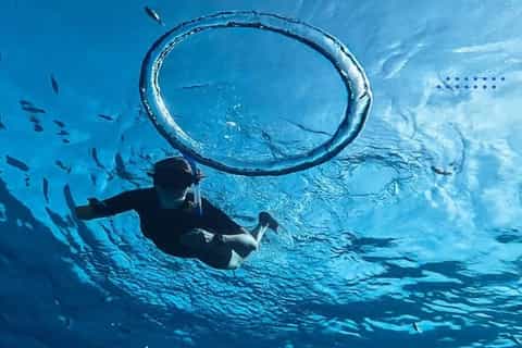 Hurghada: Snorkeling 6 x 1 to Orange Bay w Diving & Massage