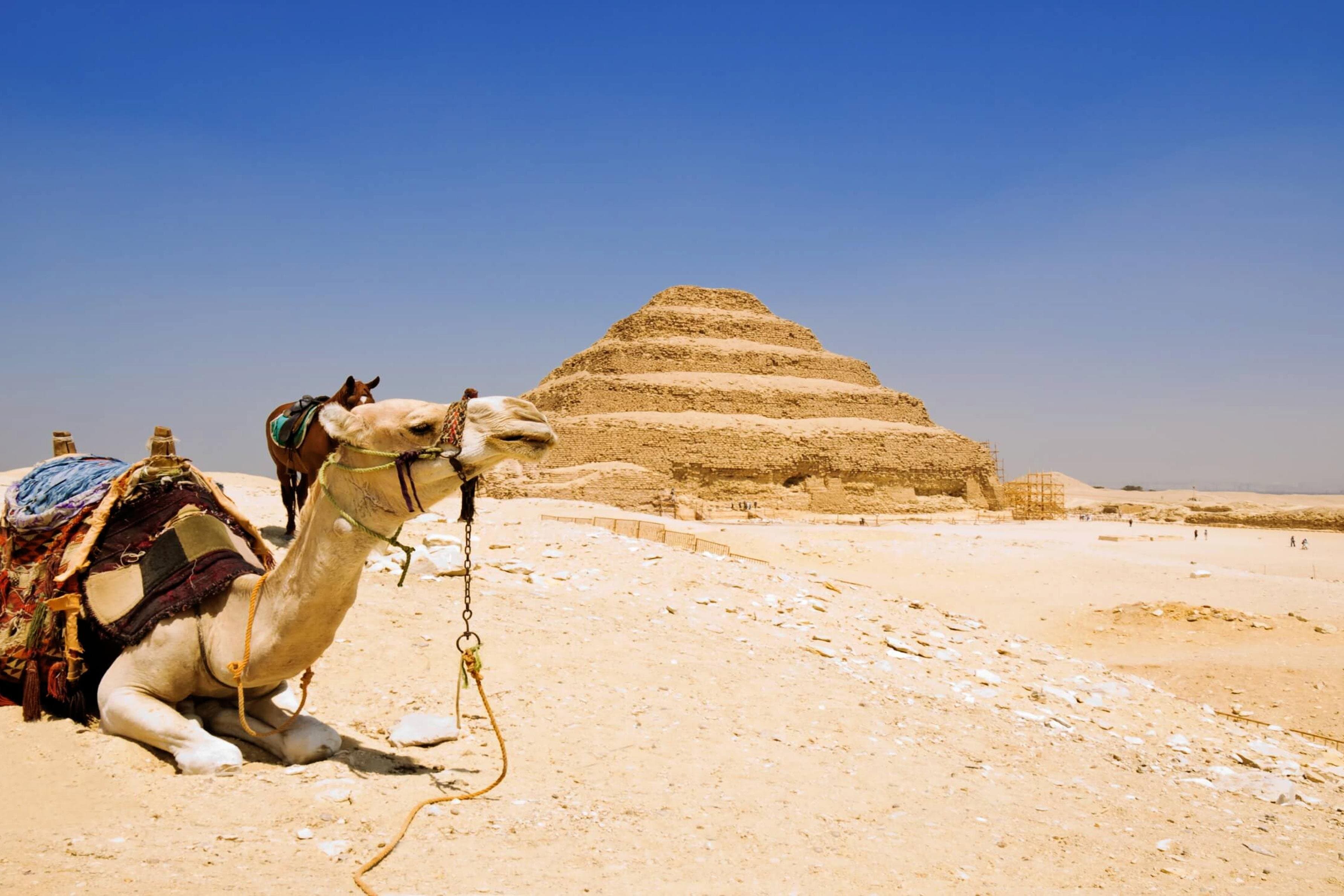 All incluive Private Guided Tour to Saqqara Memphis from Cairo
