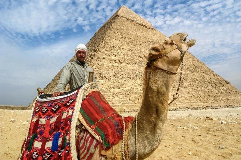 8hours Private Giza Pyramids Memphis Sakkara Lunch and Camel ride