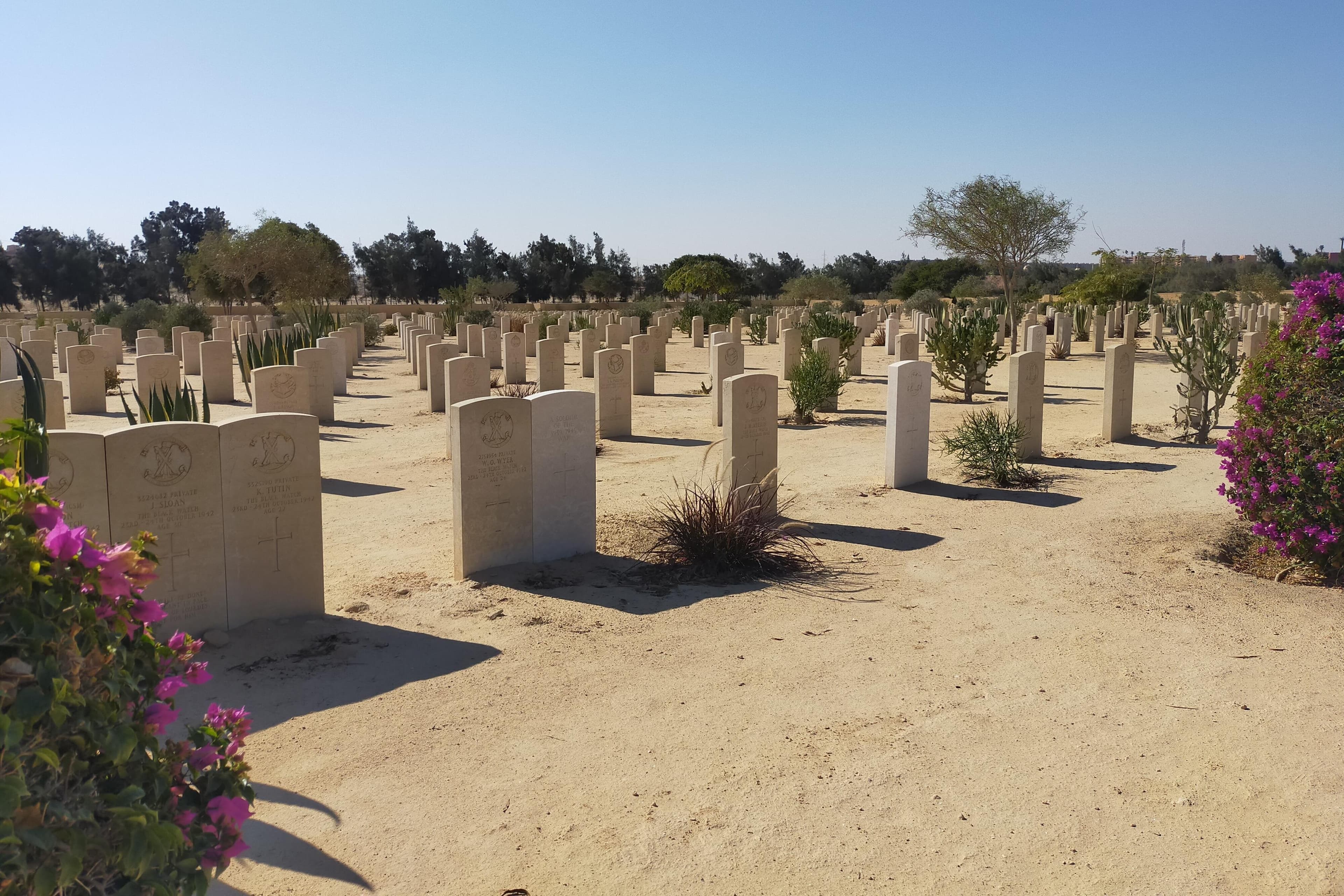 Alexandria and El Alamein overnight private tour from Cairo