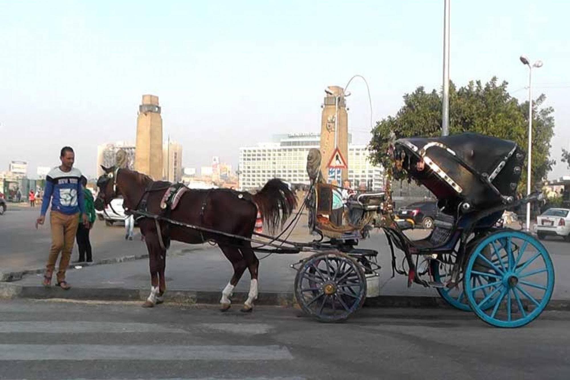 Cairo By Night and Free Walking Tours In Cairo with Private Transfer