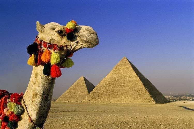 Private Day Tour from Sharm el Sheikh to Cairo by Bus