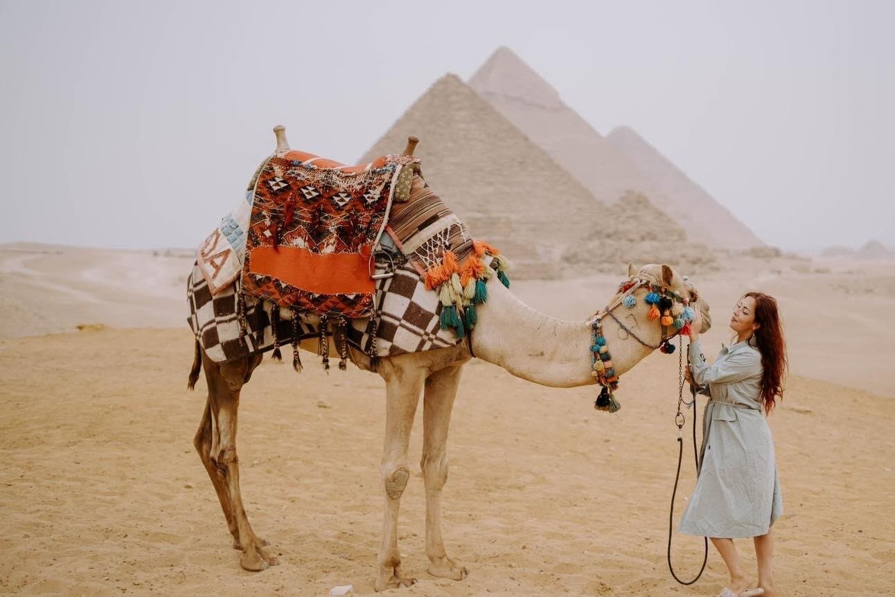 Pyramids of Giza &Sphinx – Museum – Nile Felucca Tour