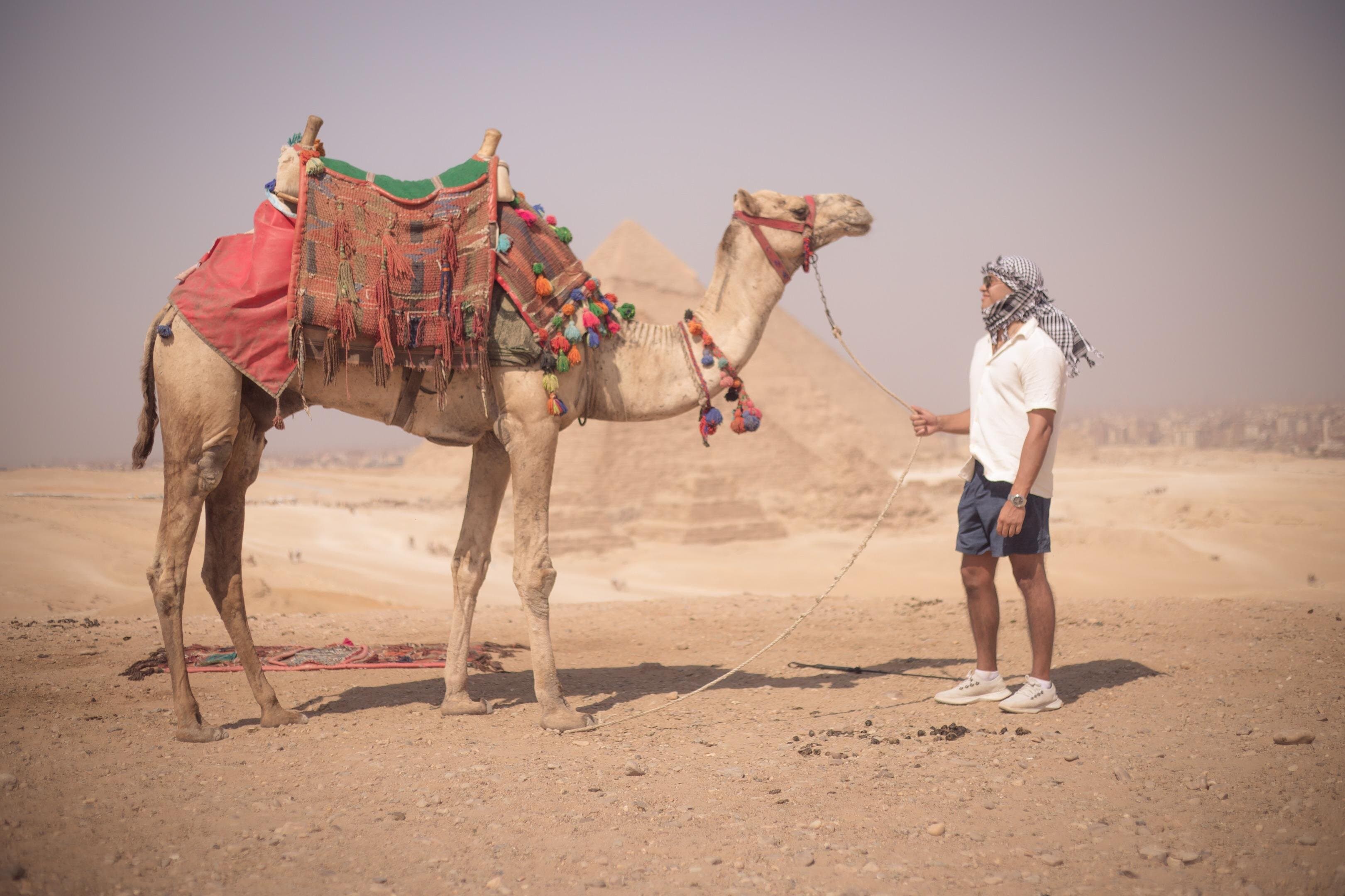 Private Tour To Giza Pyramids ,Memphis,Saqqara & Dahshur Pyramids