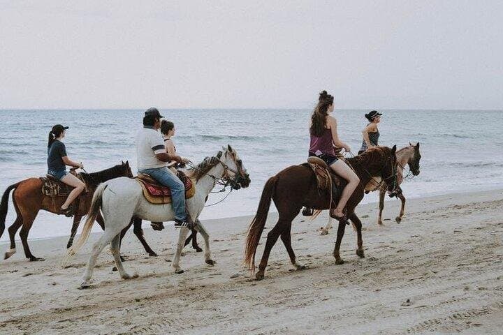 Horseback Adventures by the Sea and desert in Sharm El Sheikh