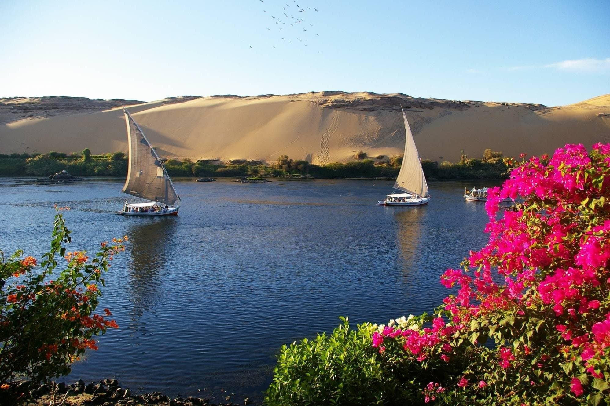 Felucca Nile Tour in Aswan