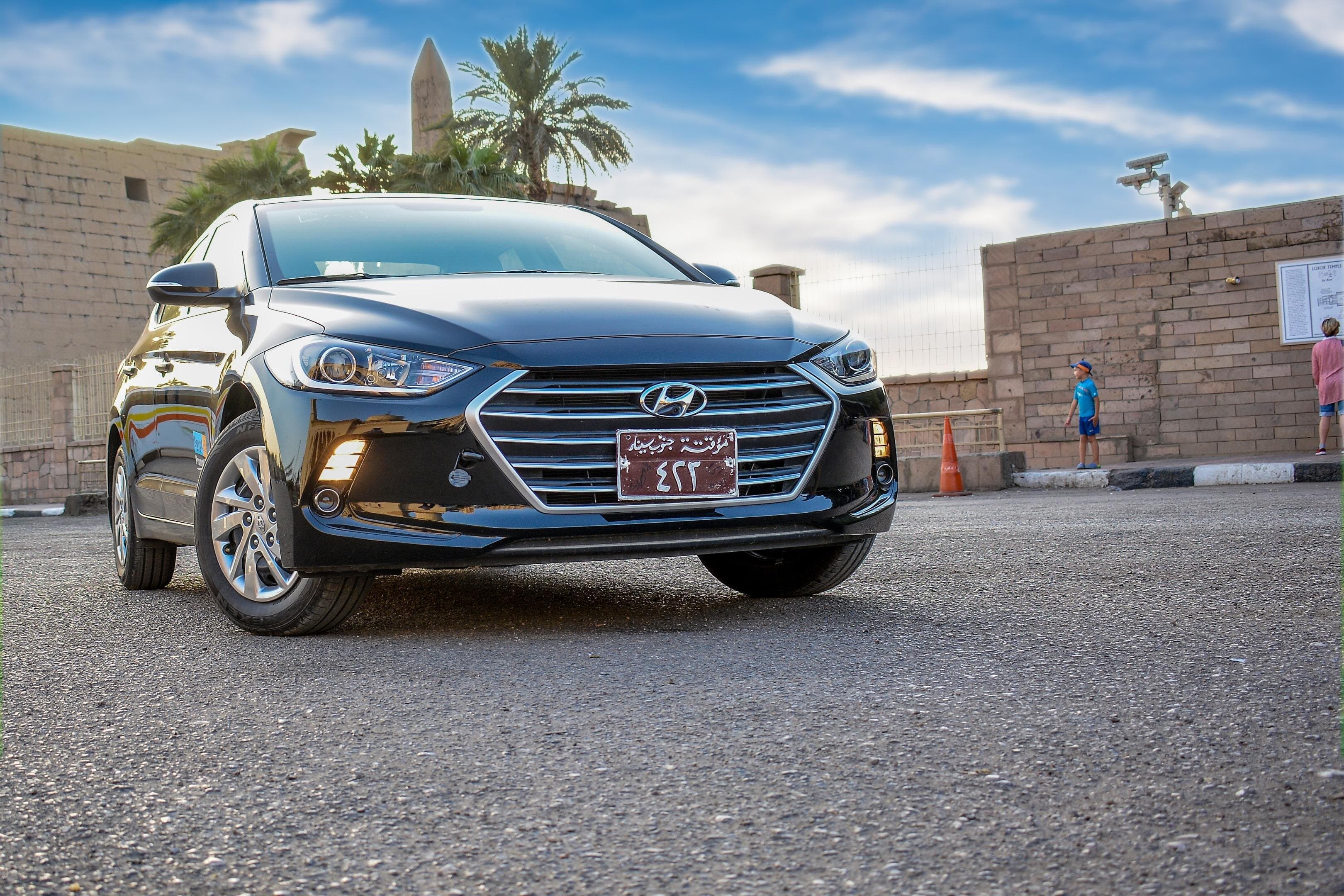 Private Transfer Round Trip To Abu Simbel From Aswan