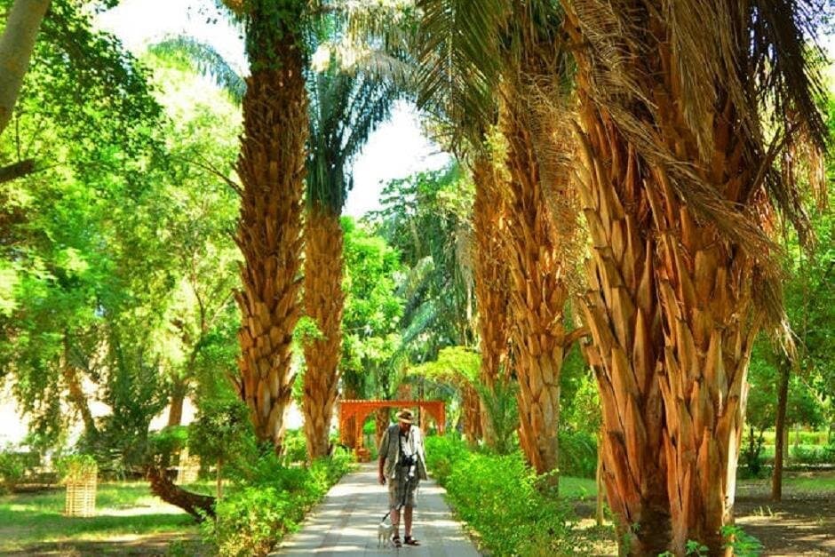 Nubian Village Tour With Botanical Garden and Elephanteen Island