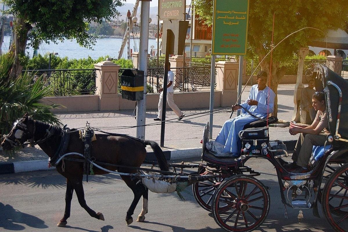 Explore Aswan City with a Horse Carriage Private Tour