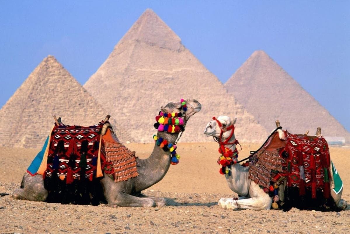 Full-Day Private Guided Tour to Cairo and Pyramids from Hurghada