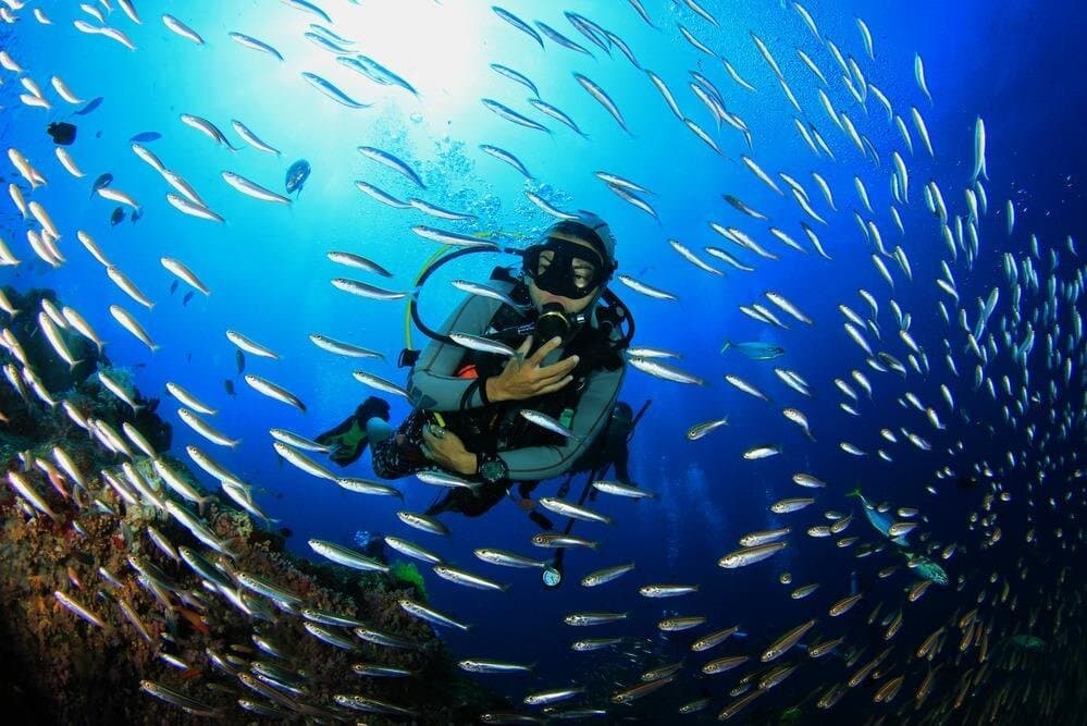 Scuba Diving for beginners – Hurghada