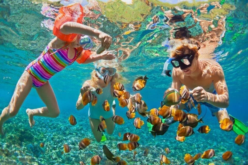 Giftun Island Snorkeling Trip from Hurghada