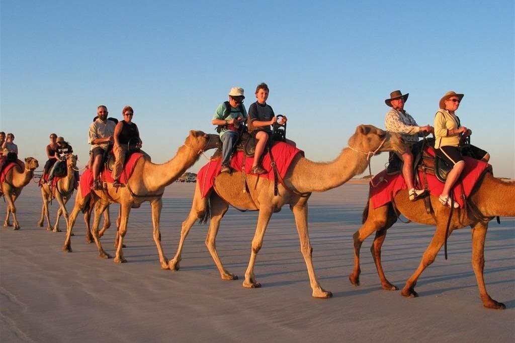 7 Hour Quad Bike Safari, Camel Ride, BBQ Dinner & Show
