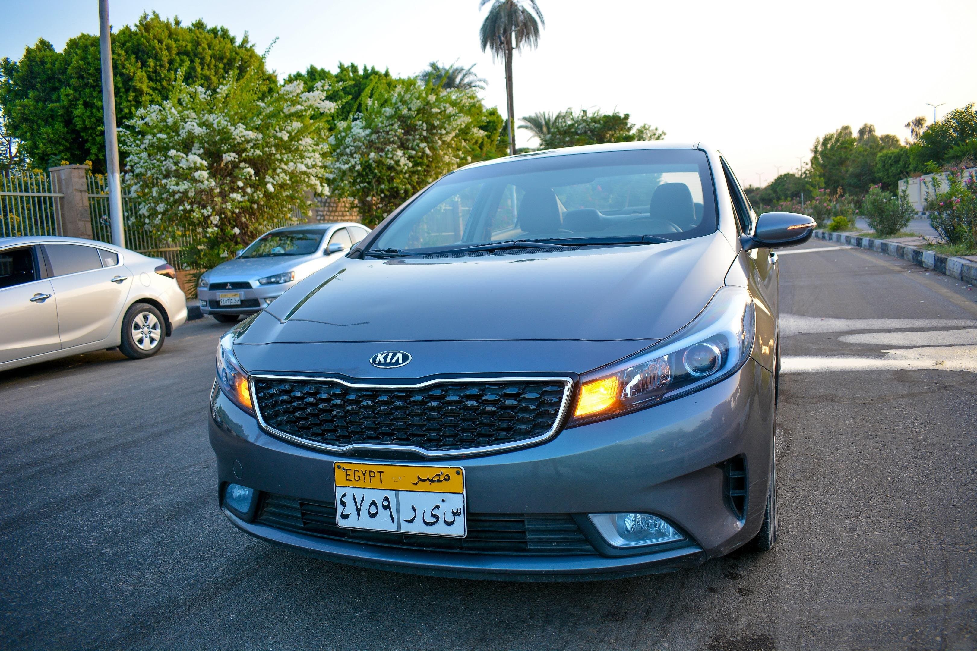 Private Full Day Car with Driver from Aswan Custom Trip