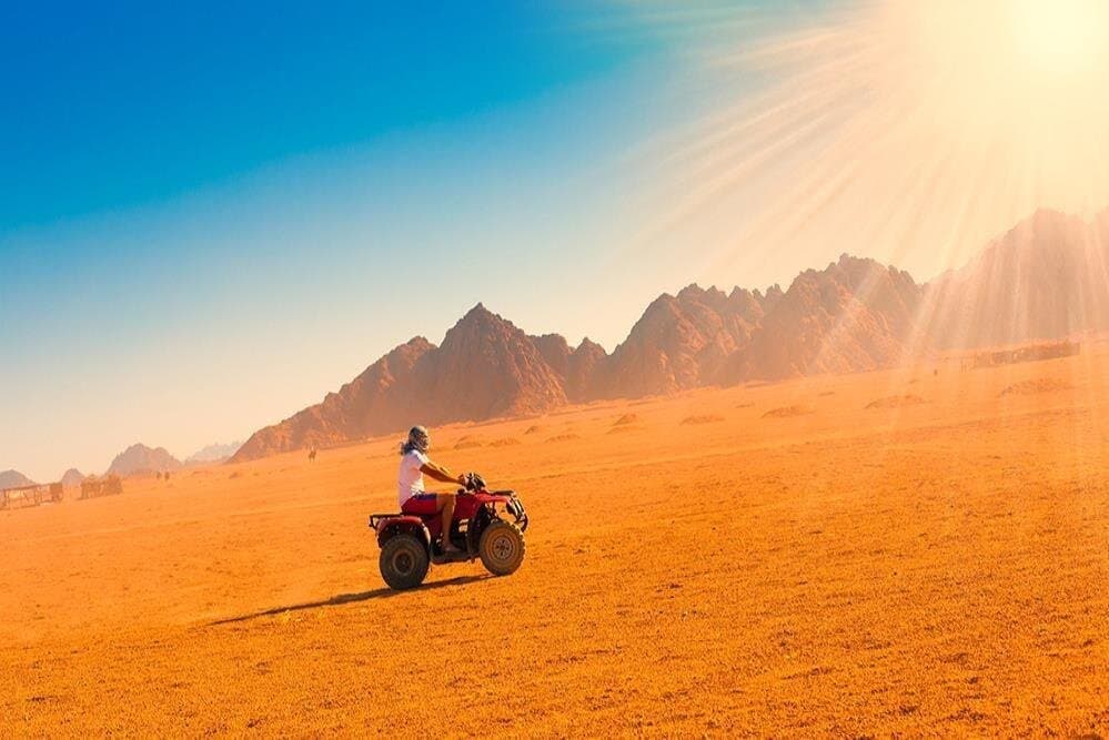 Private Safari in Luxor