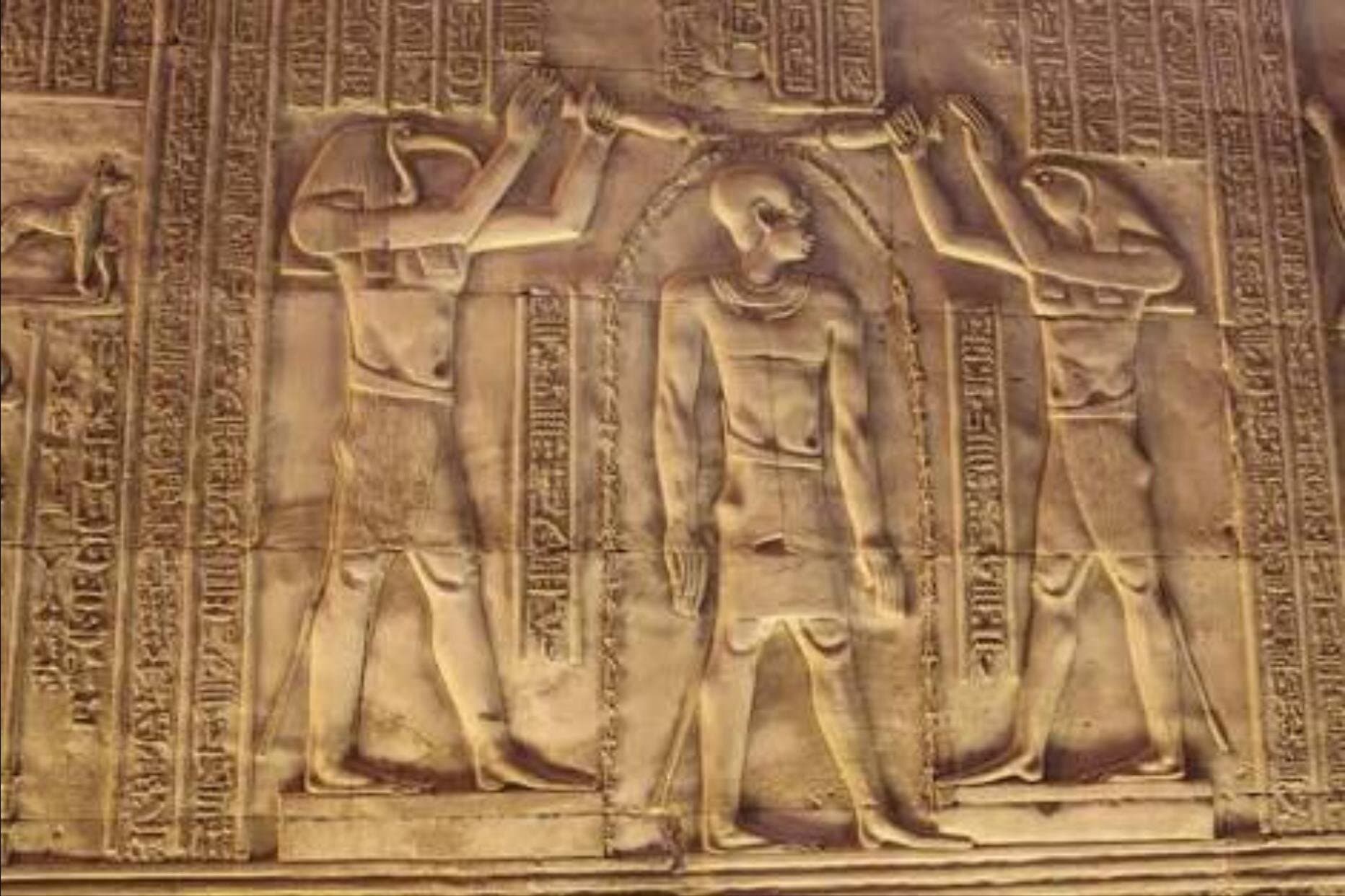 Private Trip From Luxor To Edfu Kom Ombo Temples