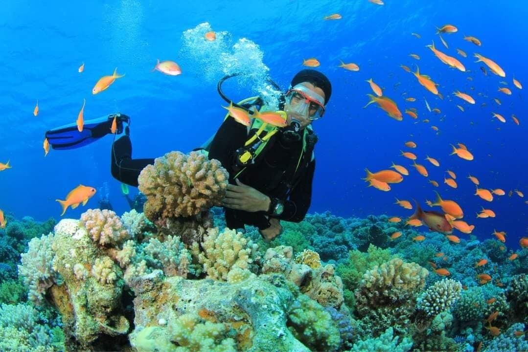 Blue Hole Snorkeling, 4x4 Safari and Dahab Tour