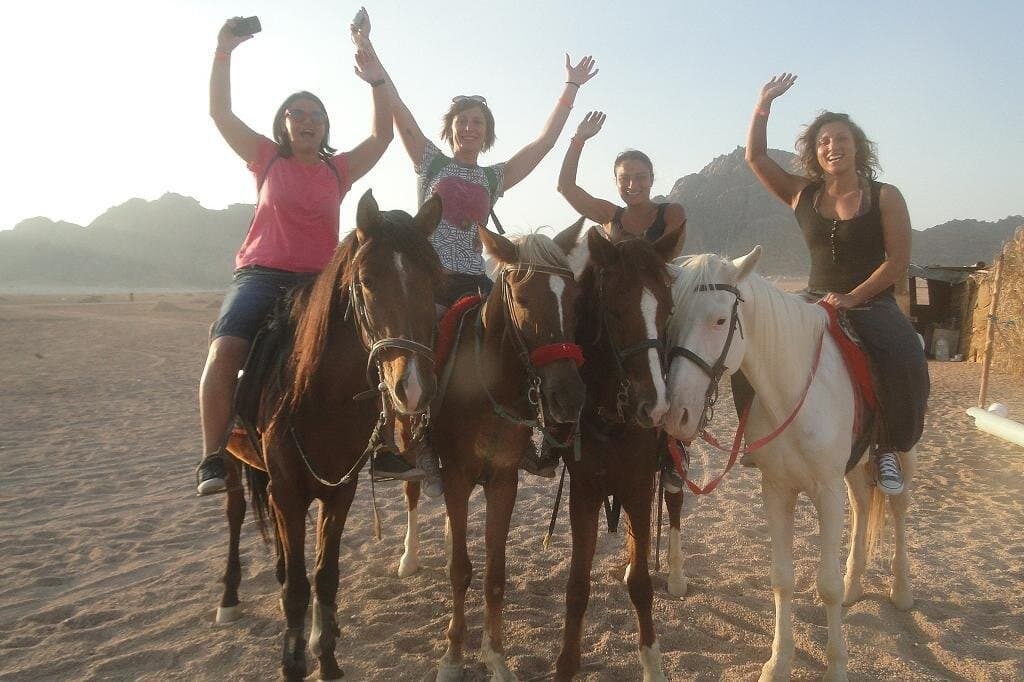 Desert Horse Riding In Sharm El Sheikh
