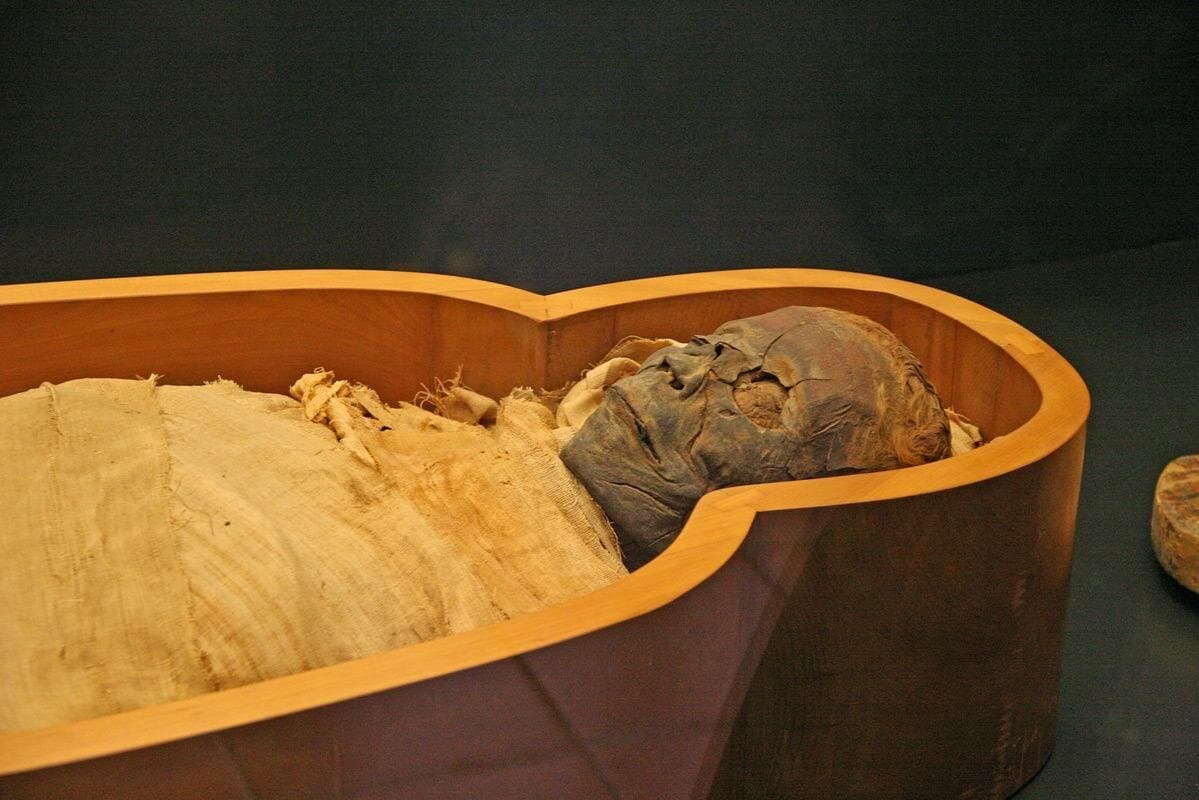 Private Tour to Luxor Museum & Mummification Museum