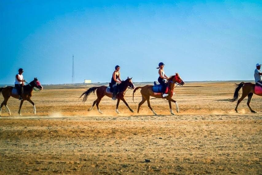 3 Hours Horse Riding in Hurghada