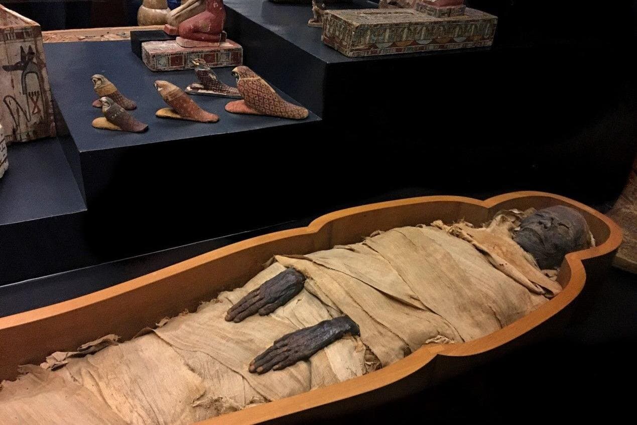 Private tour Luxor Temple, Karnak Temple,and Mummification Museum