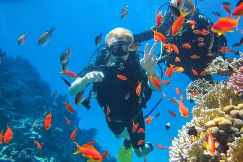 Snorkeling at Ras Mohamed in Sharm El Sheikh
