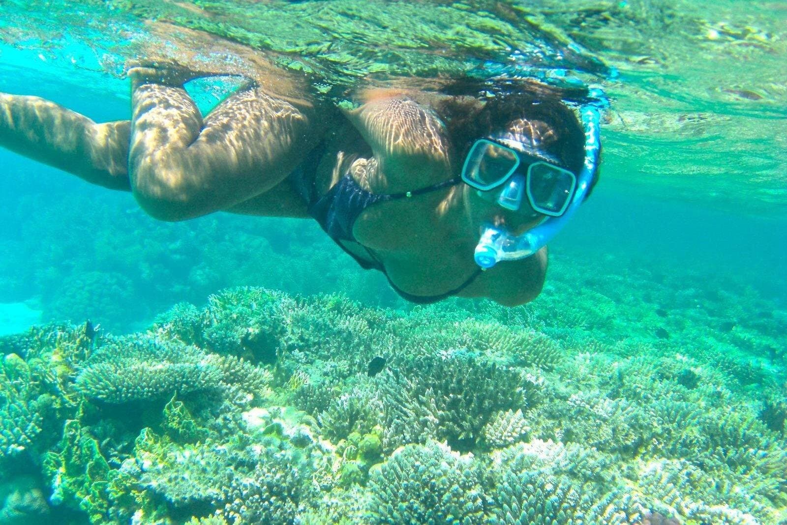 Ras Mohamed National Park Snorkeling Cruise from Sharm El Sheikh