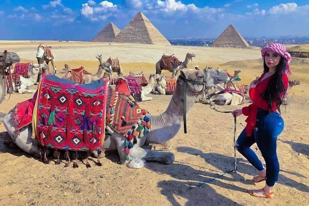 Private Day Tour from Sharm el Sheikh to Cairo by Bus