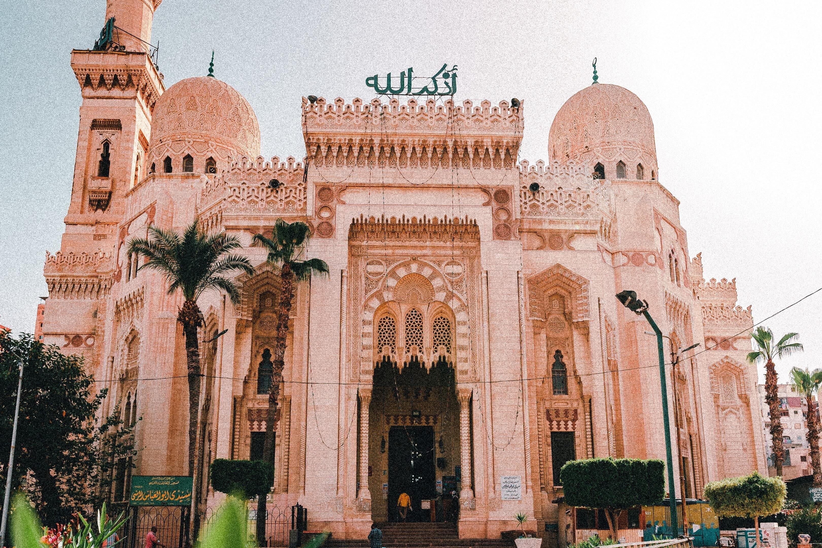 Alexandria Full-Day Private Tour with Guide and Pickup