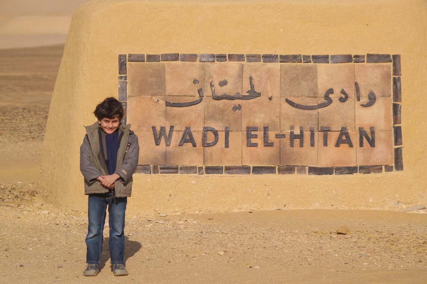 Fayoum Oasis & Wadi Al Rian Day Tour from Cairo