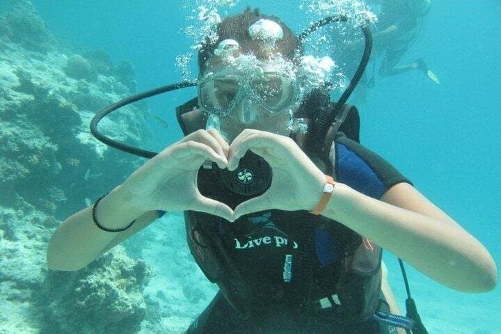 Underwater Discovery for Beginners – Full Day Diving : Hurghada