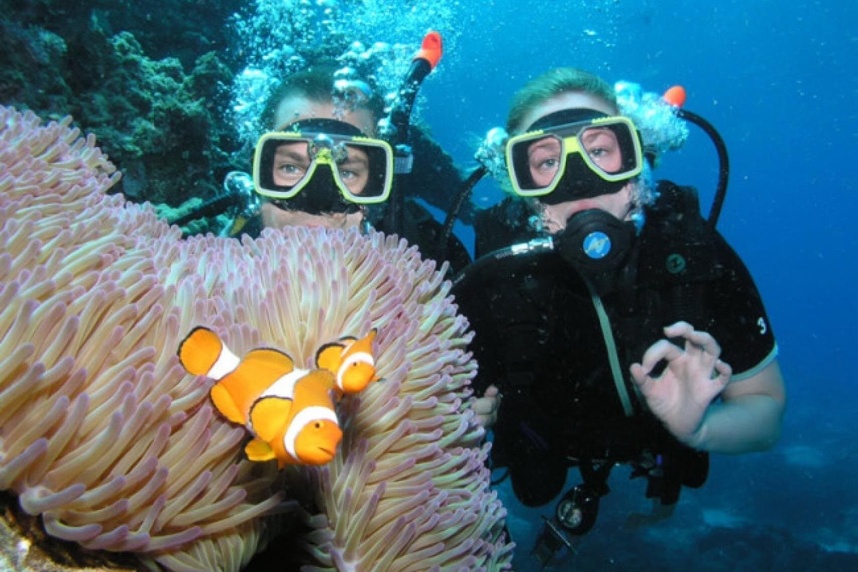 Coral Garden Diving Trip with Two Dives & Transfers : Marsa Alam