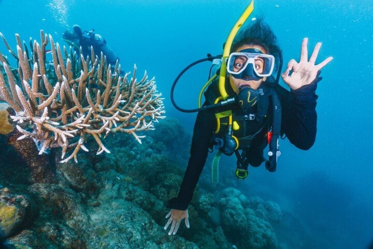 Ras Mohamed, White Island Trip, Two Stops Diving -Sharm El Sheikh