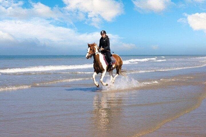 1 Hour Horse Ride at Nabq Bay Beach and Transfers–Sharm El Sheikh