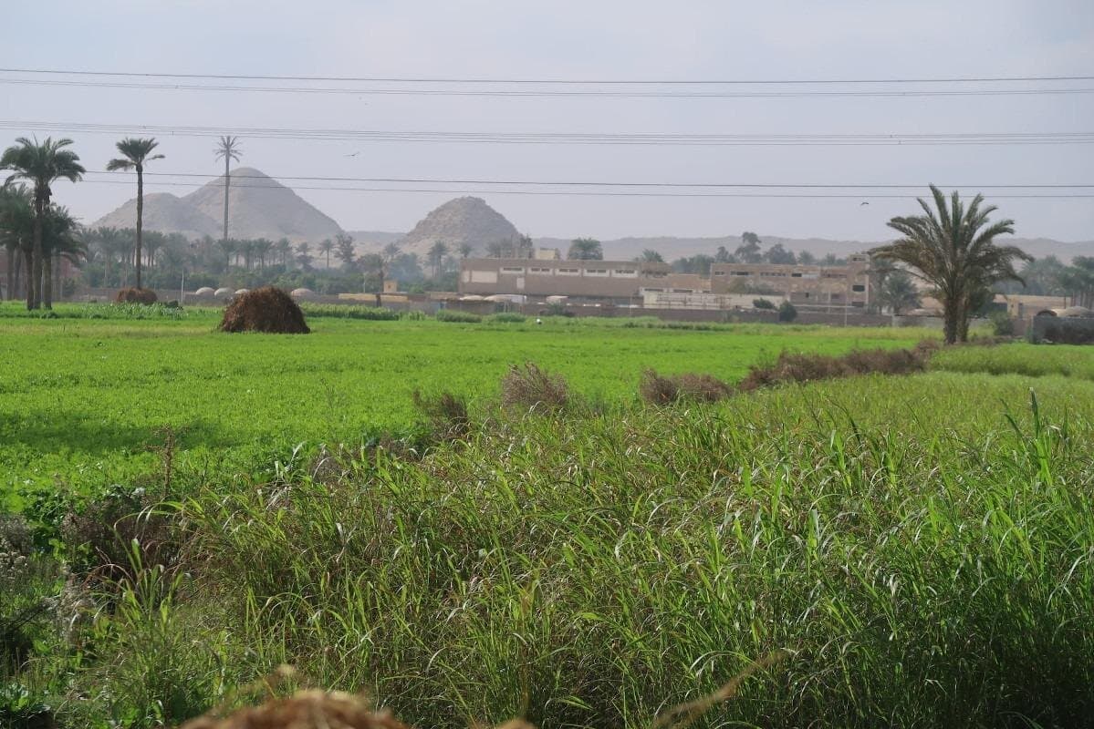 Private Dahshur Pyramids and Farmland Experience
