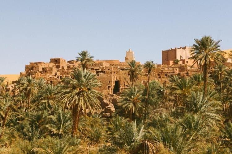 5 Days Trip To Siwa and Bahariya Oasis