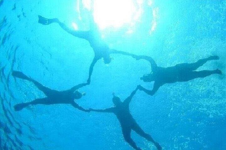 Coral Garden Full Day Snorkeling Trip with Lunch : Marsa Alam