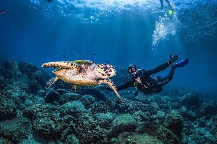 Advanced Open Water Diving Course in the Red Sea βSharm El Sheikh