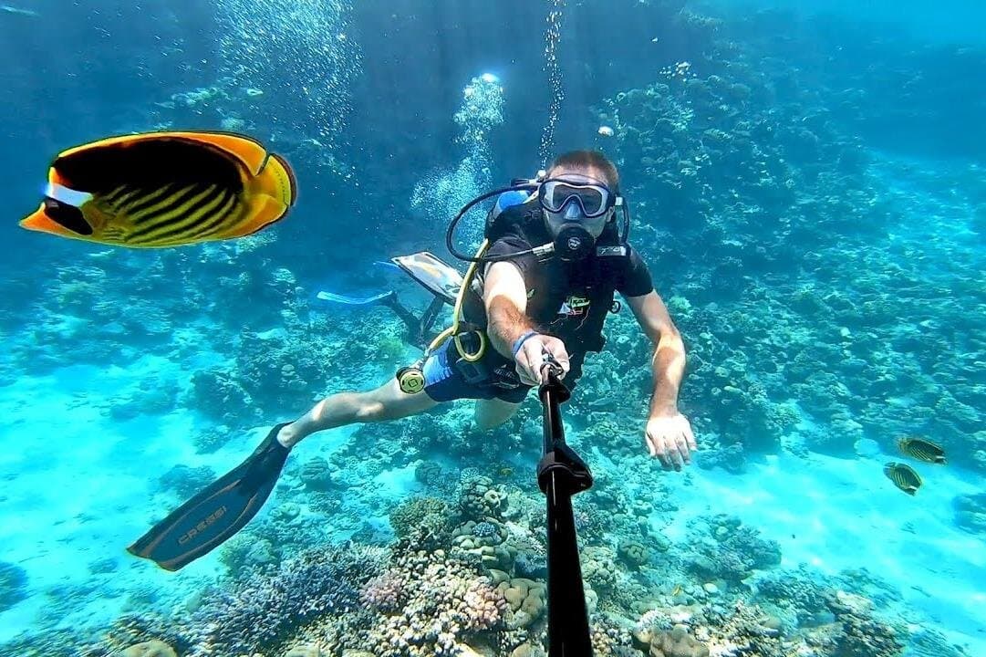 Ras Mohamed and White Island Full-Day Snorkeling and Diving Tour