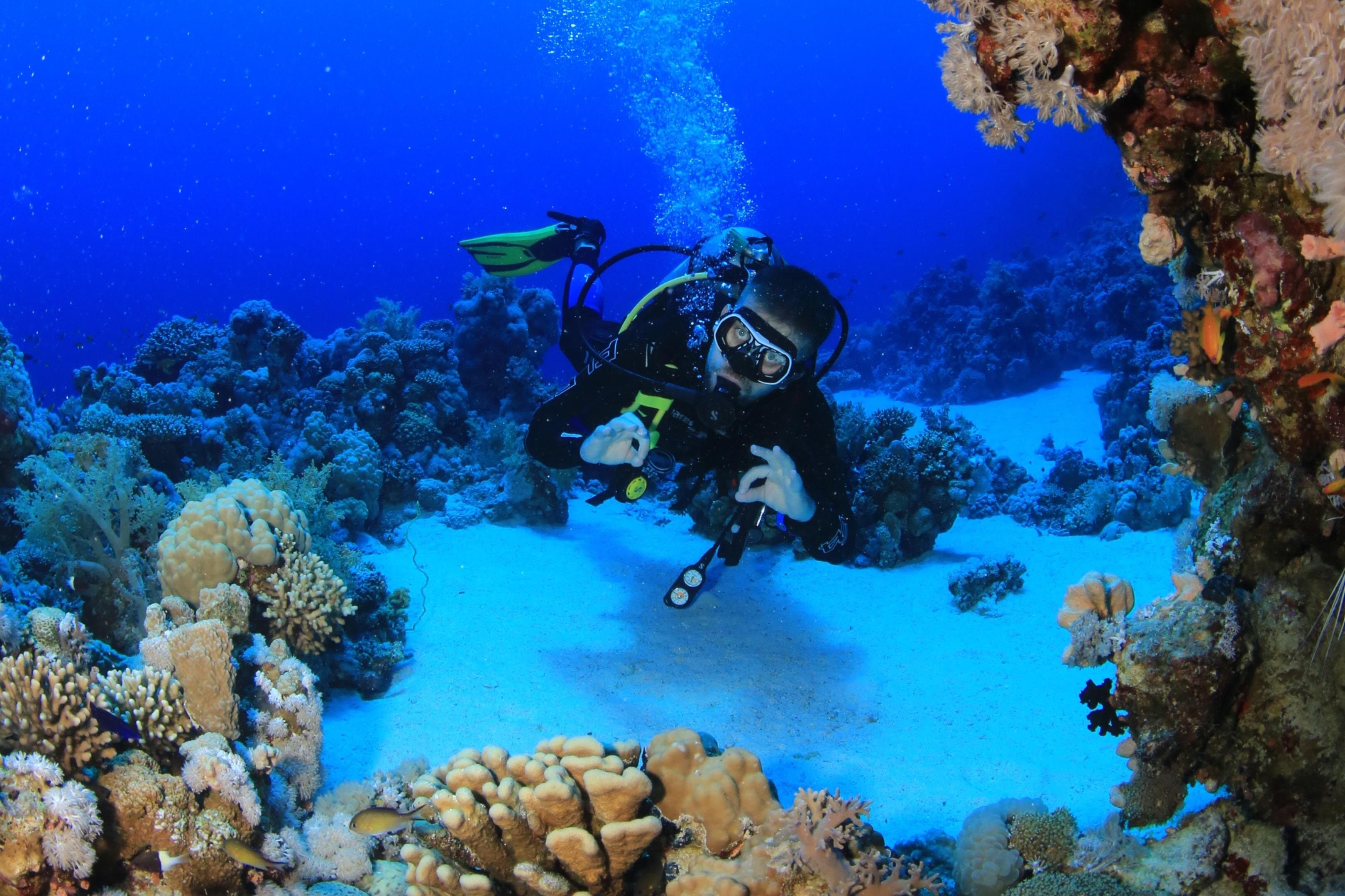 6 Dives by Boat or by Shore