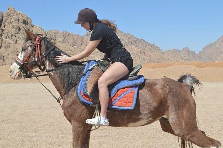 1 Hour Horse Riding in the Desert with Transfers : Hurghada