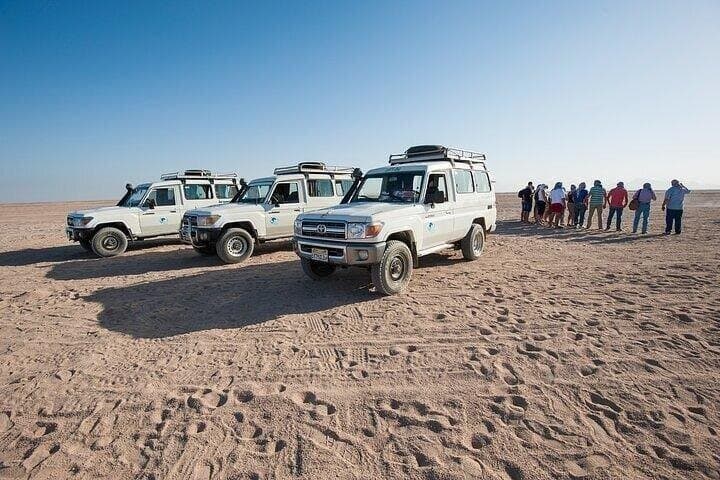 Family Desert Safari Jeep, ATV Bike, Buggy & Dinner : Hurghada