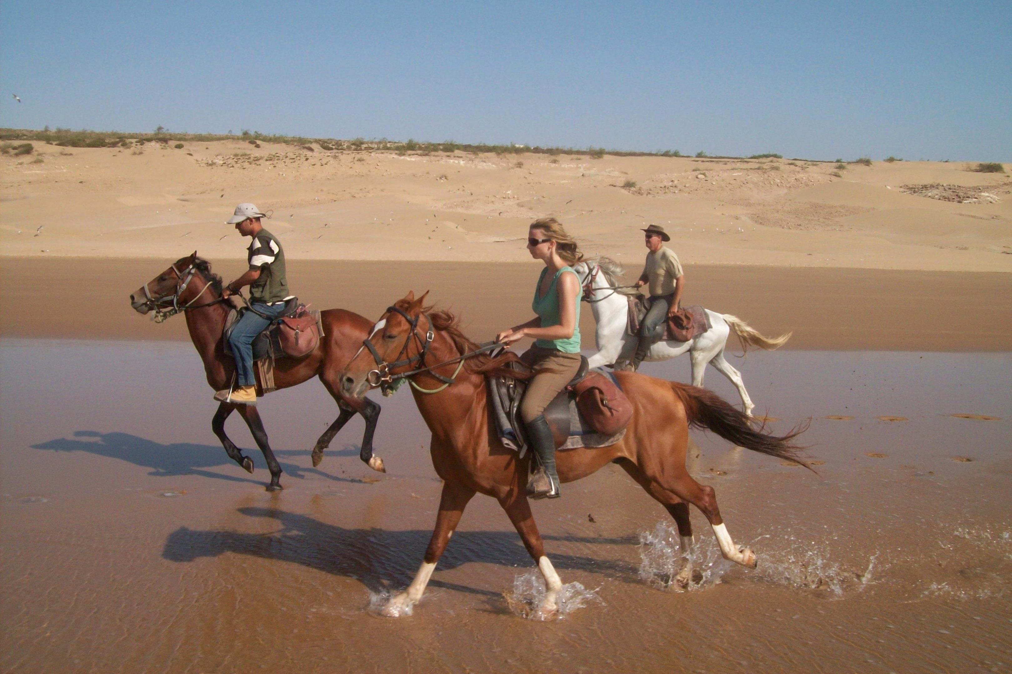Sea & Sands One-Hour Horseback Escape in Sharm El-Sheikh