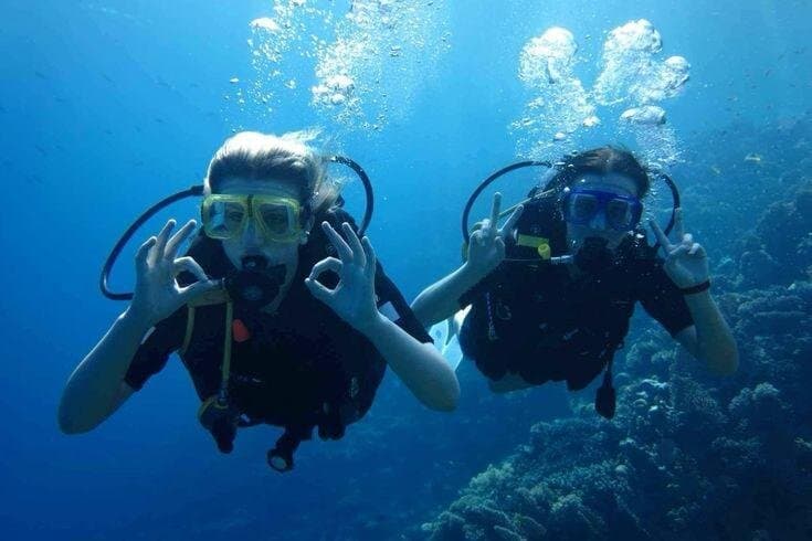 Scuba Diving for Beginners 2 Dives, Lunch & Transfer : Hurghada